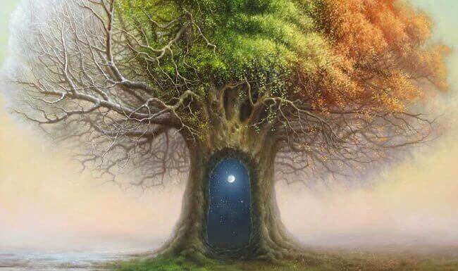 nuit dans le tronc d'un arbre