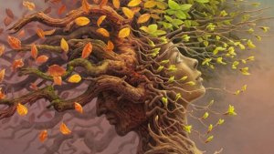 La réserve cognitive, une capacité décisive dans l’évolution de notre cerveau
