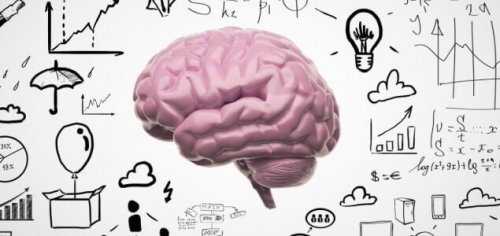 cerveau et nouveaux souvenirs