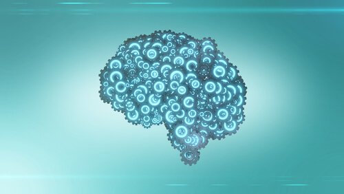 mécanismes du cerveau