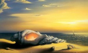 L'insula, la source de nos émotions et de l'empathie