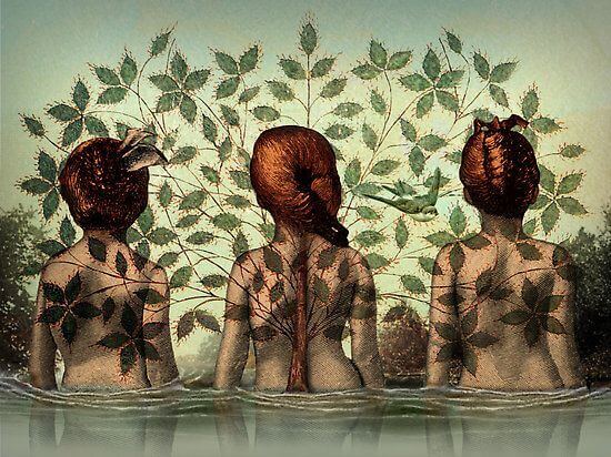 trois femmes et un arbre