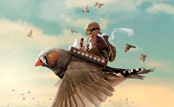 enfant sur un oiseau