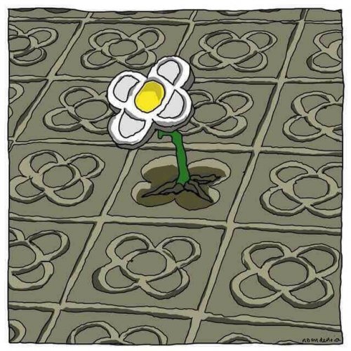 fleur dans le sol