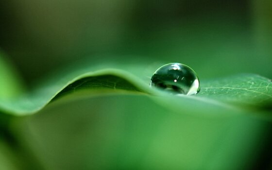 goutte d'eau