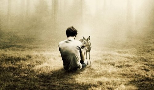solitude d'un homme dans un bois