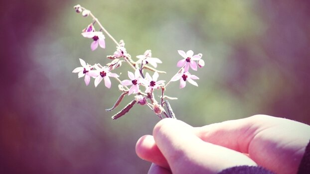 fleurs