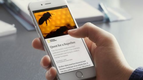 information virale sur un téléphone