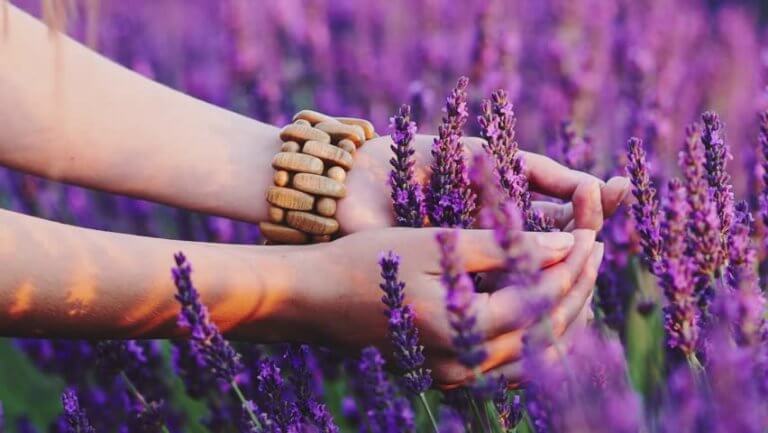 percevoir depuis le coeur et profiter des petits détails de la vie comme cette fille qui touche la lavande