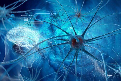 neurones du cerveau