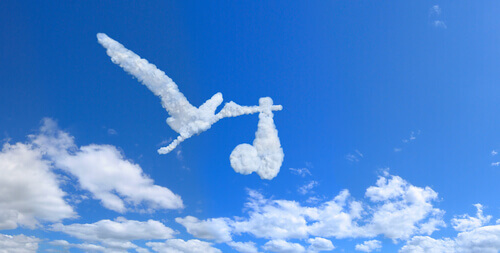 nuage en forme de cigogne portant un bébé