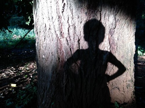 ombre d'un enfant sur un arbre