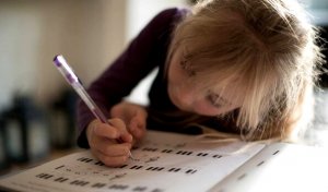 L'apprentissage lent : une variété d'apprentissage ou une anomalie ?