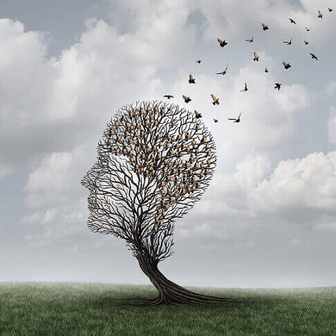 amnésie antérograde symbolisée par les oiseaux qui s'envolent