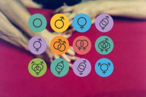 Quels sont les types d'orientation sexuelle ?