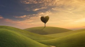 Être bien avec soi-même est préférable à être bien avec tout le monde
