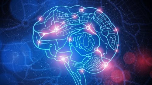 aire du cerveau affectée par l'humiliation