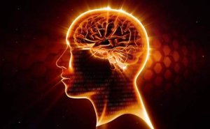 Oméga-3, le meilleur neuroprotecteur