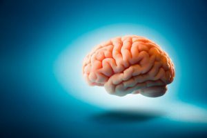Le chemobrain, un effet secondaire de la chimiothérapie