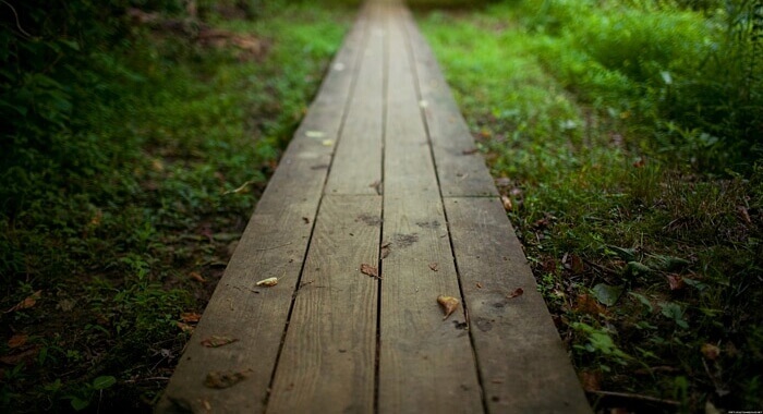 chemin de bois
