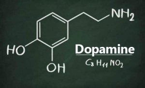 Qu'est-ce que la dopamine et quelles sont ses fonctions ?