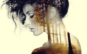 Que nous arrive-t-il après avoir passé une demie heure dans un silence et une solitude absolus ?