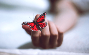 7 livres pour surmonter la dépression