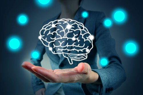 dessin de cerveau sur une main