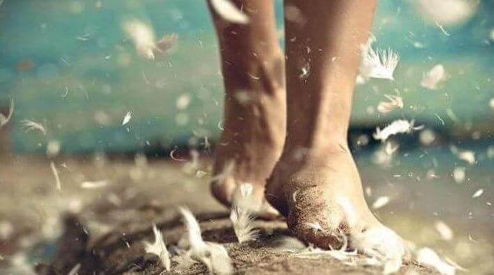 pieds et plumes