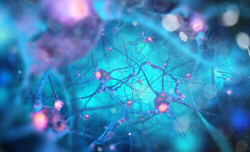 neurones miroir