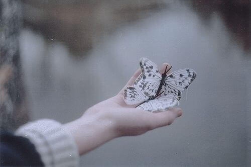 papillons dans une main