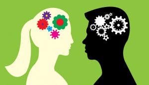 Existe-t-il des différences entre le cerveau masculin et le cerveau féminin ?