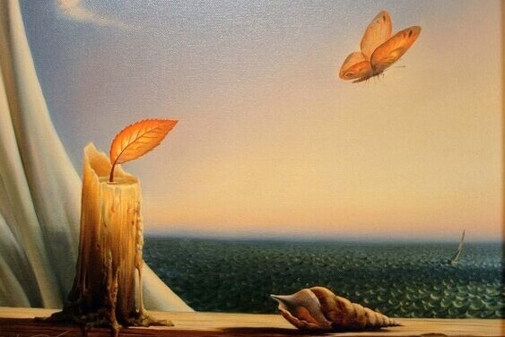 bougie et papillon