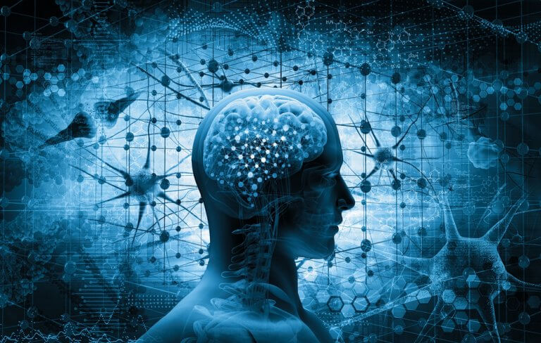 imageirie du cerveau