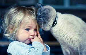 Chat-thérapie : 5 avantages de vivre avec un chat