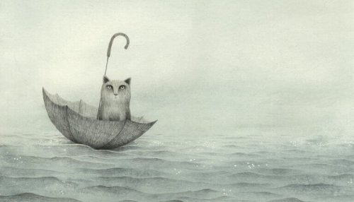 chat sur parapluie
