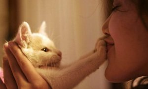 Chat Therapie 5 Avantages De Vivre Avec Un Chat Nos Pensees