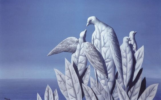 oiseaux