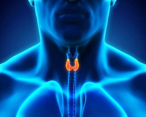 Thyroïde et humeur : quelle est leur relation ?