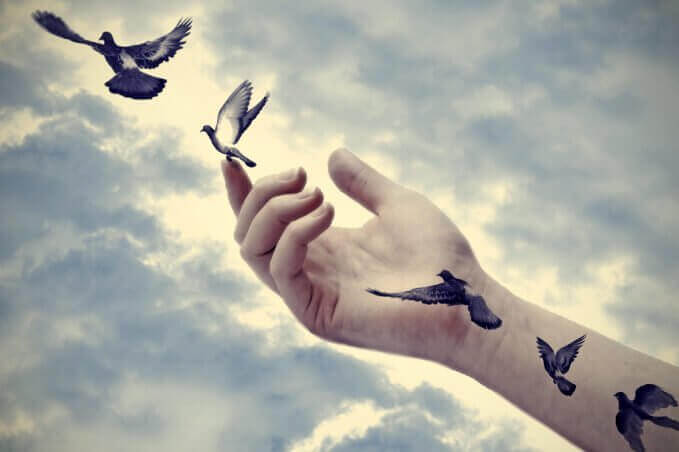 main et oiseaux