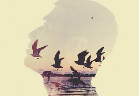 tête d'homme et oiseaux
