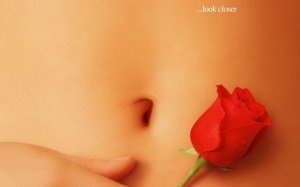 American Beauty, les apparences sont trompeuses