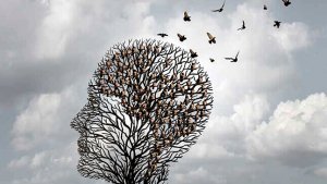 La Thérapie Rationnelle Émotive Comportementale d'Albert Ellis