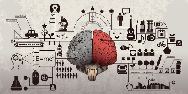publicité et cerveau