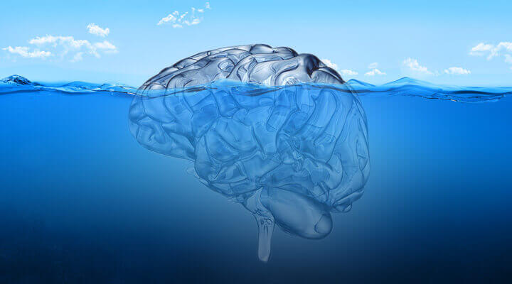 cerveau submergé