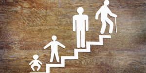 Les 6 principales théories sur le développement