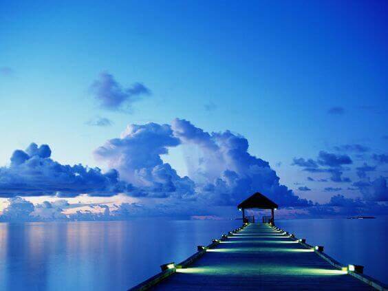 paysage