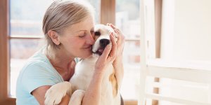 La thérapie avec les chiens : quels sont ses bénéfices ?