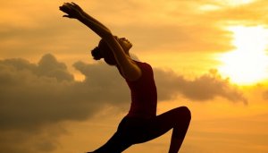 Seitai, la culture de l'harmonie et de la santé