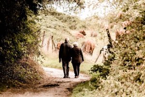 Les histoires de nos grands-parents : la mémoire collective